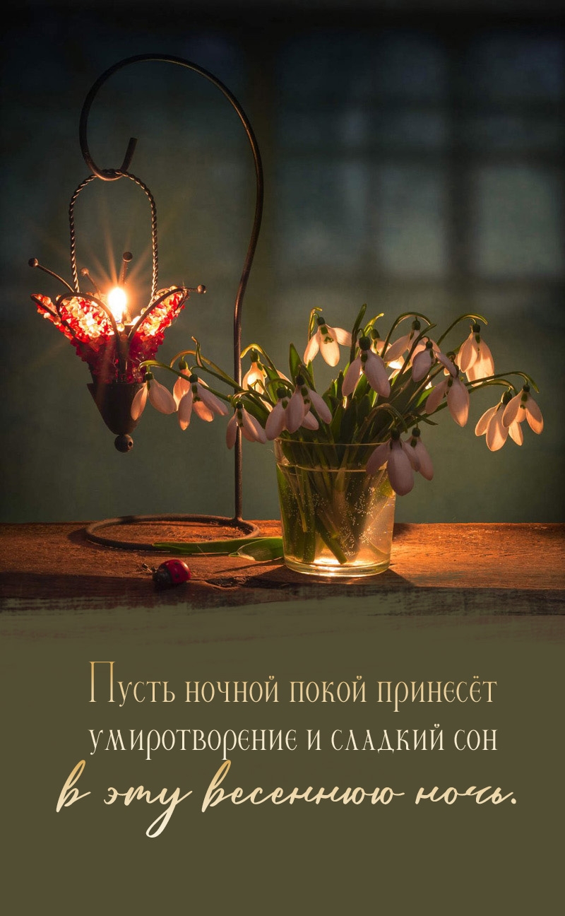 Пусть ночной покой принесёт умиротворение и сладкий сон в эту весеннюю ночь.