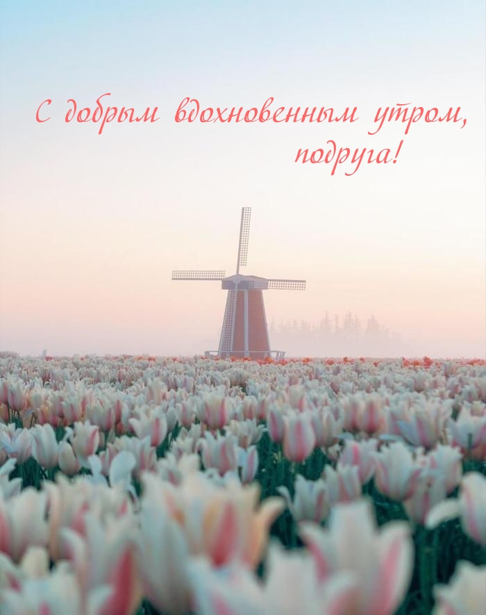 С добрым вдохновенным утром, подруга!
