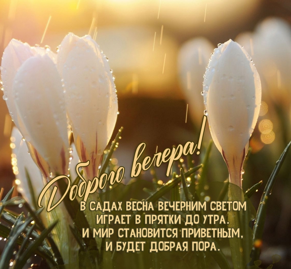 Доброго вечера! Весеннее стихотвоорение