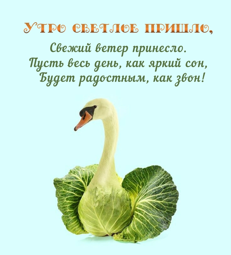 Необычное пожелание доброго утра