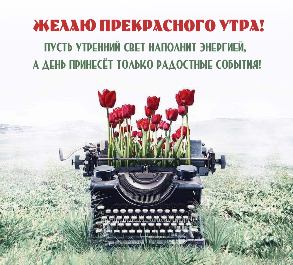 Пусть утренний свет наполнит энергией, а день принесёт только радостные события!