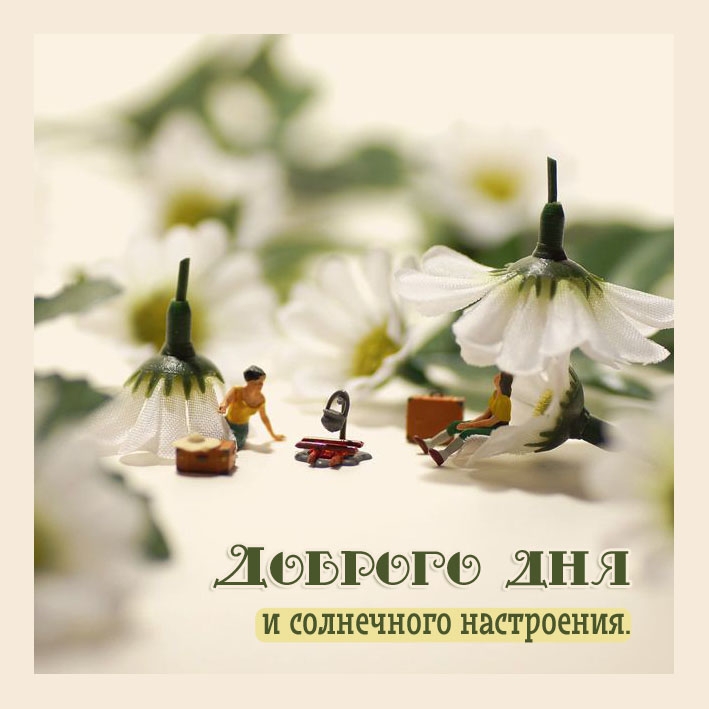 Доброго дня и солнечного настроения.