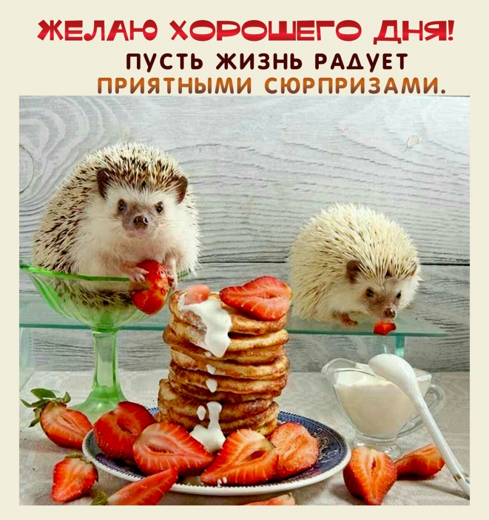Желаю хорошего дня! Пусть жизнь радует приятными сюрпризами.