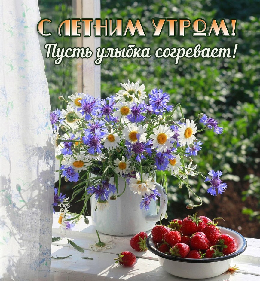 С летним утром! Пусть улыбка согревает!