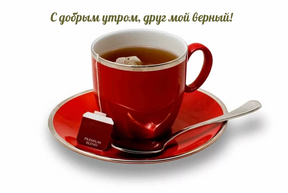 С добрым утром, друг мой верный!