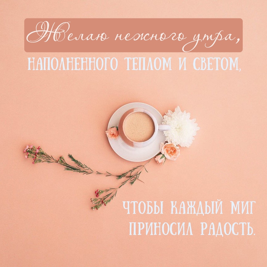 Желаю нежного утра, наполненного теплом и светом