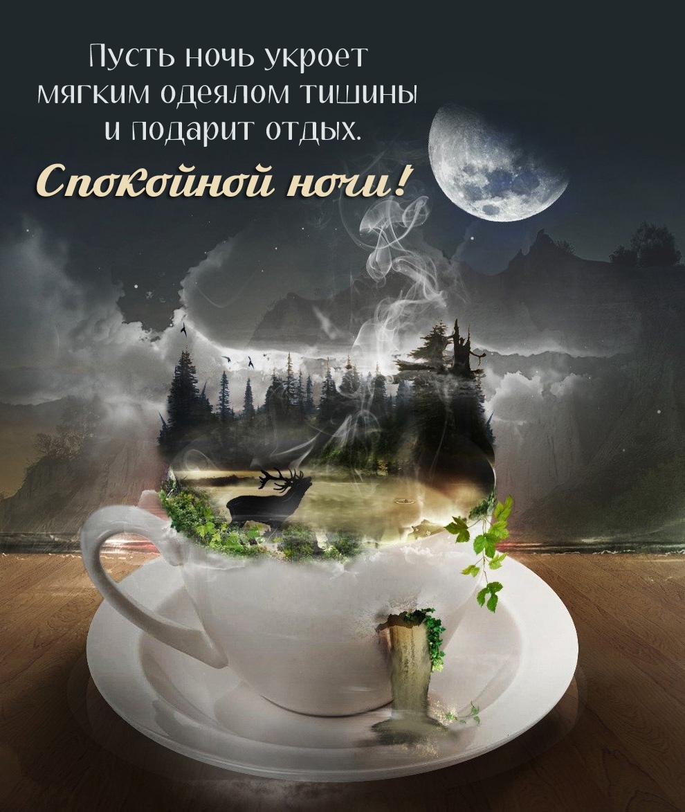 Пусть ночь укроет мягким одеялом тишины и подарит отдых