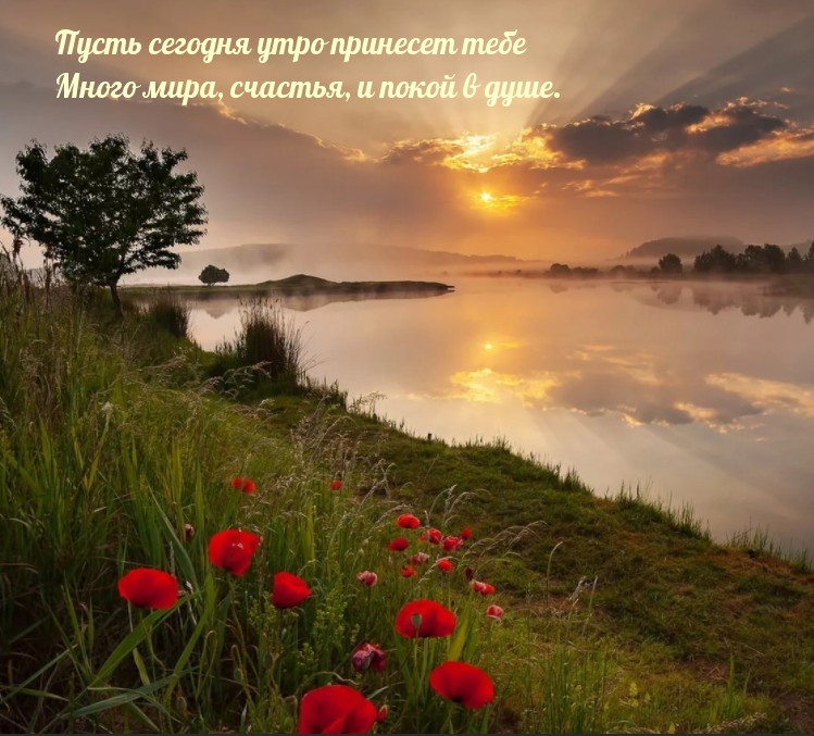Пусть сегодня утро принесет тебе много мира!