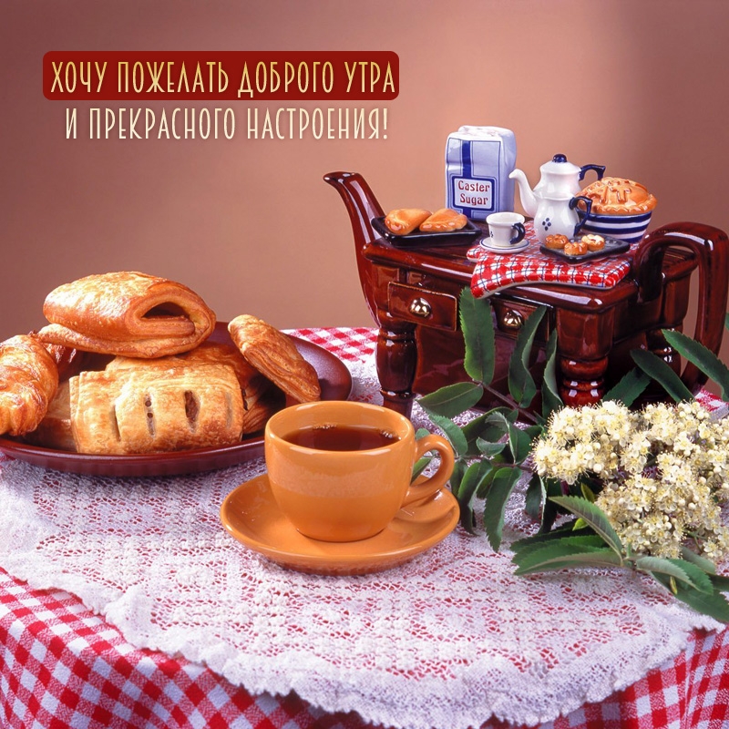 Хочу пожелать доброго утра и прекрасного настроения!
