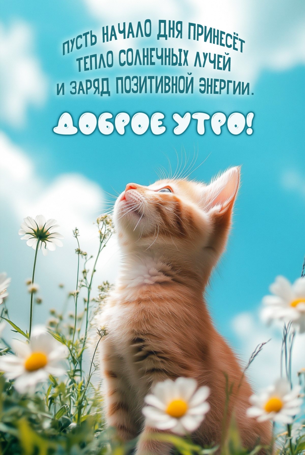 Пусть начало дня принесёт тепло солнечных лучей и только позитив