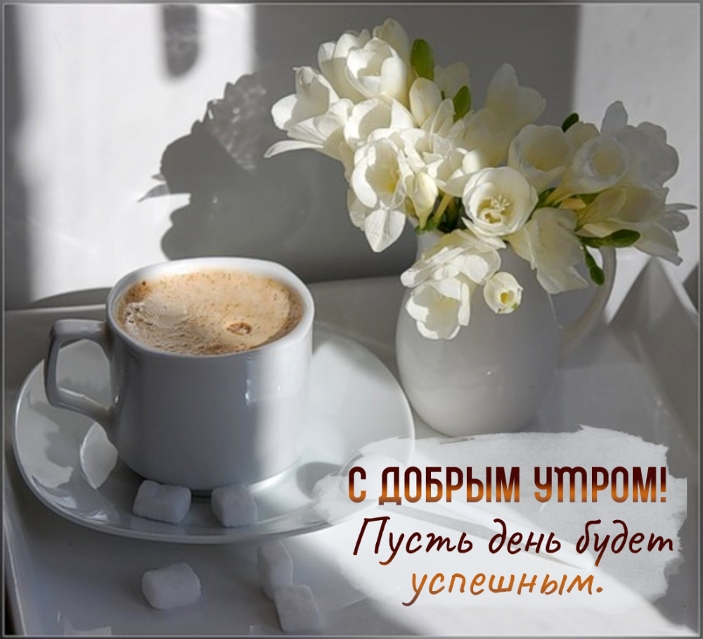 С добрым утром! Пусть день будет успешным.