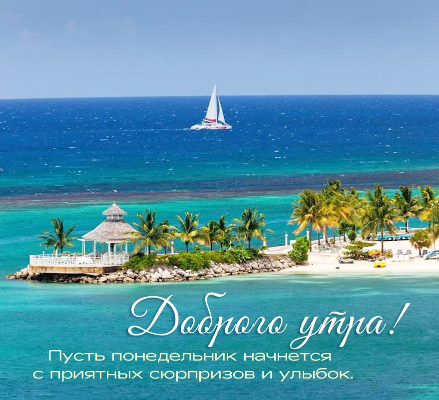 Пусть понедельник начнется с приятных сюрпризов и улыбок