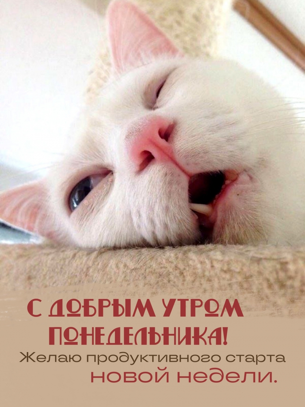 Желаю продуктивного старта новой недели.