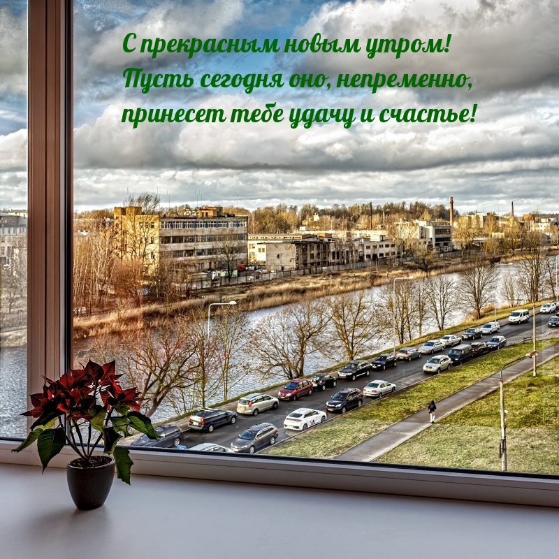 С прекрасным новым утром!