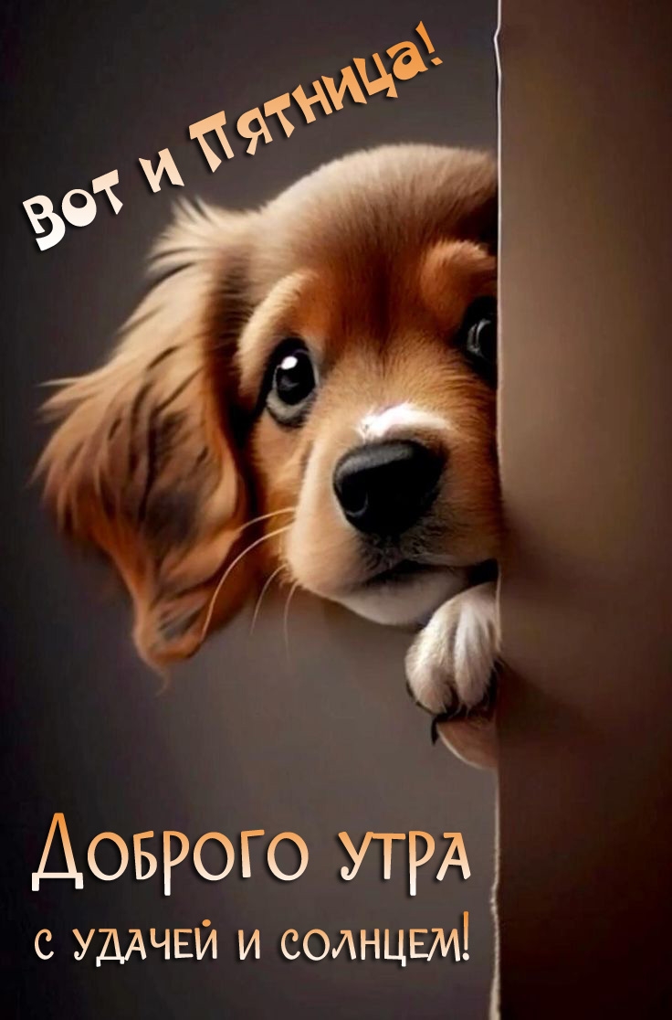 Вот и пятница! Доброго утра с удачей и солнцем!