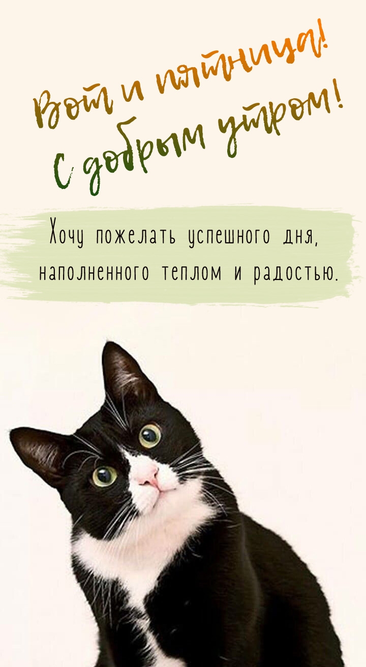 Картинка - Вот и пятница! С добрым утром!.