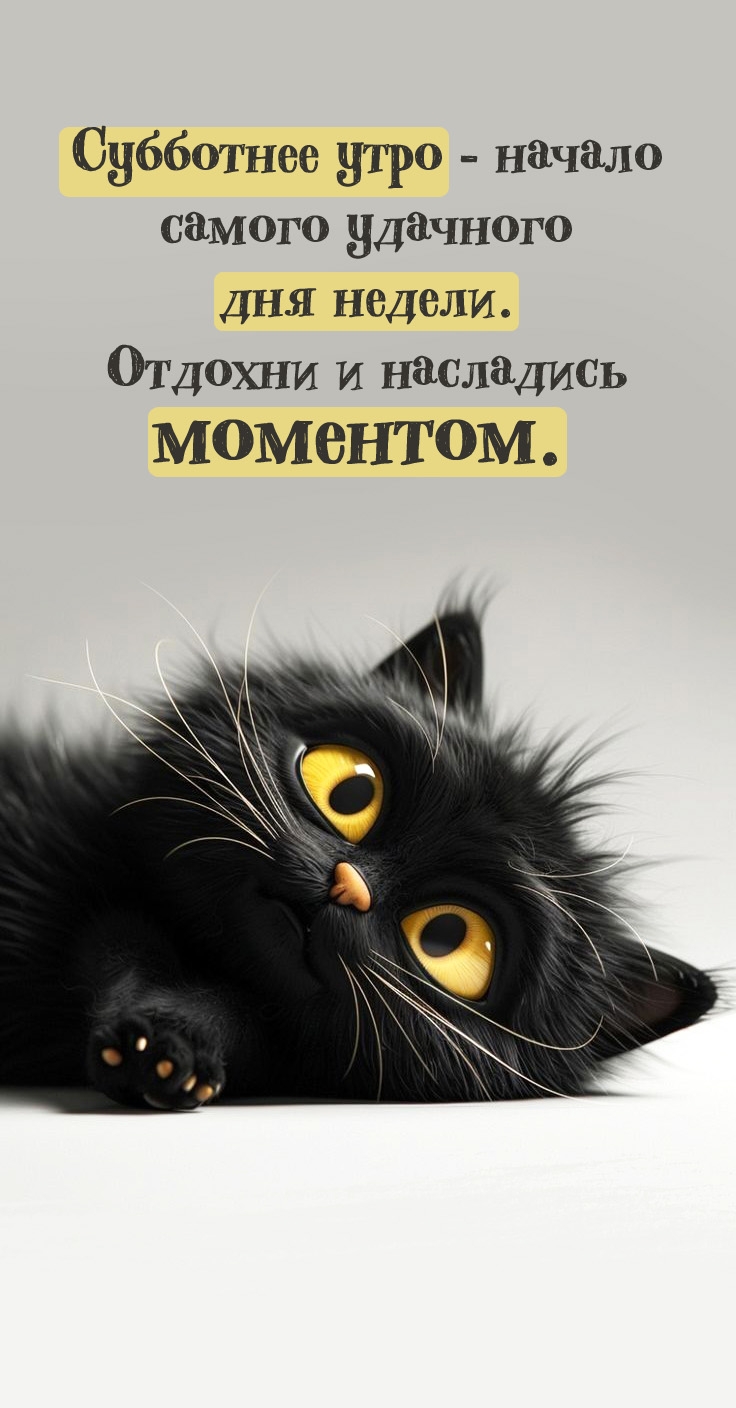 Субботнее утро — начало самого удачного дня недели.