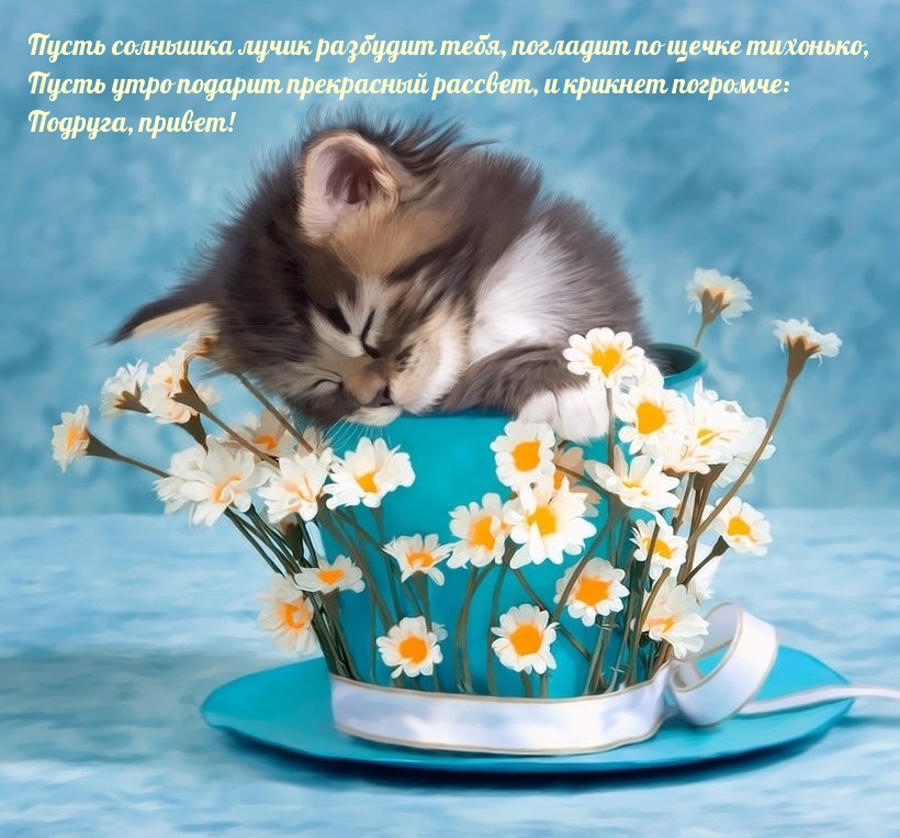 Пусть солнышка лучик разбудит тебя!