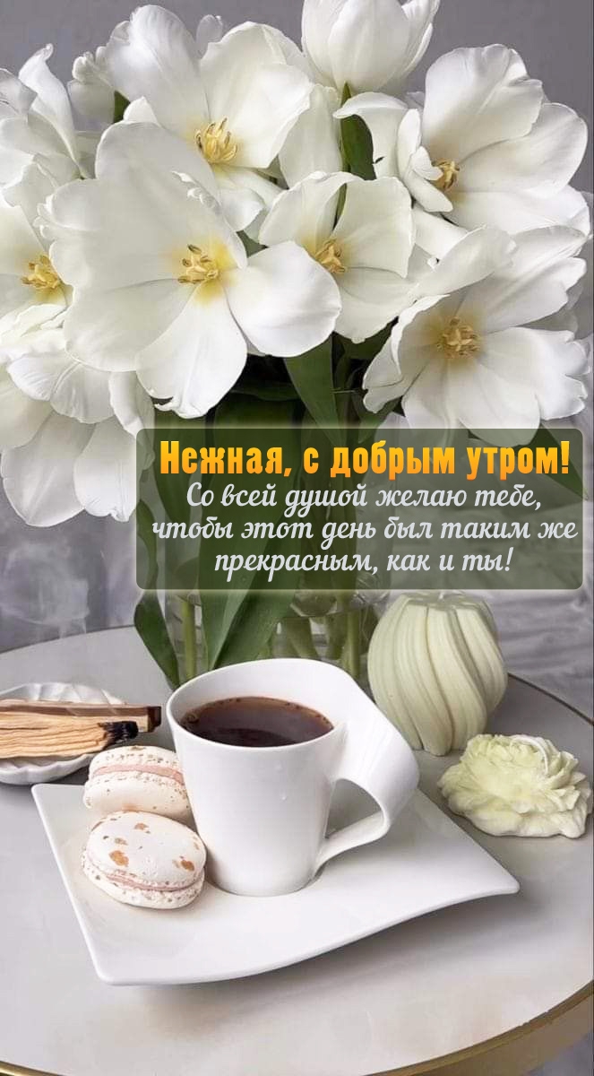 Нежная, с добрым утром! Желаю, чтобы этот день был прекрасным!