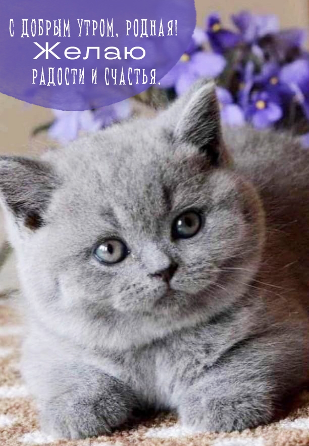 С добрым утром, родная! Желаю радости и счастья.