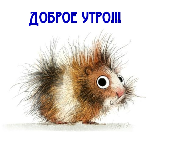 Доброе утро!