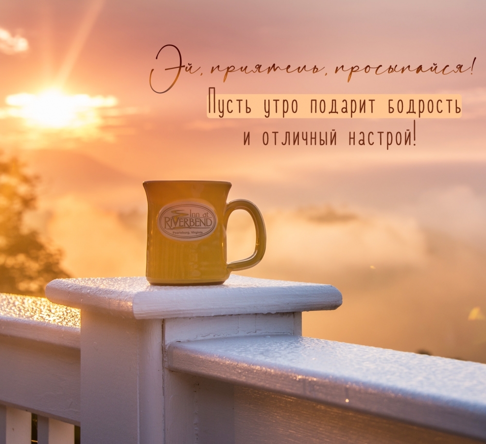 Эй, приятель, просыпайся! Пусть утро подарит бодрость!