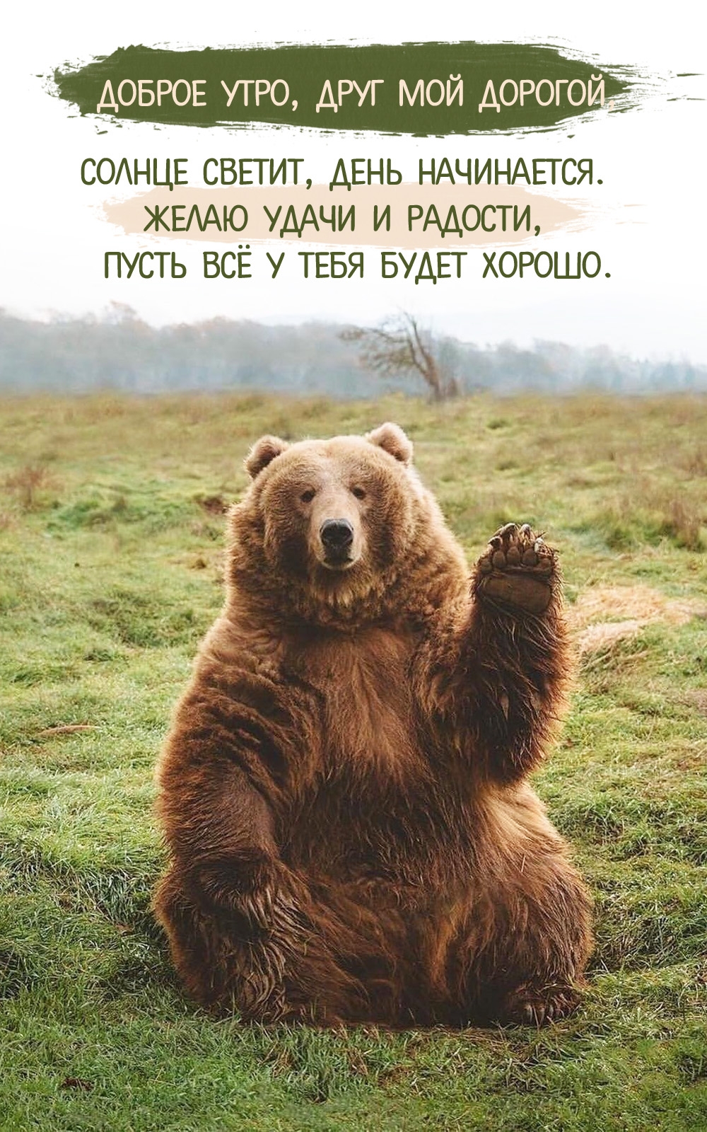 Доброе утро, друг мой дорогой! Стих