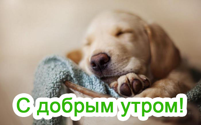 С добрым утром!