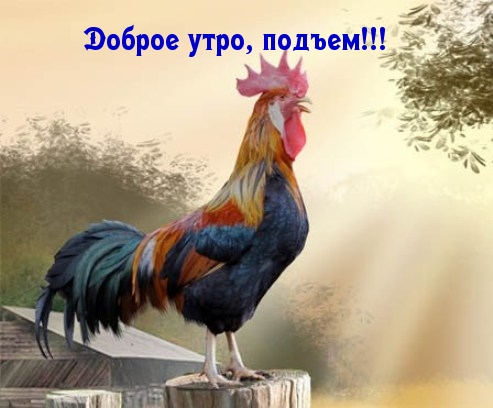 Доброе утро, подъем!
