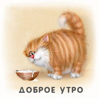 Доброе утро