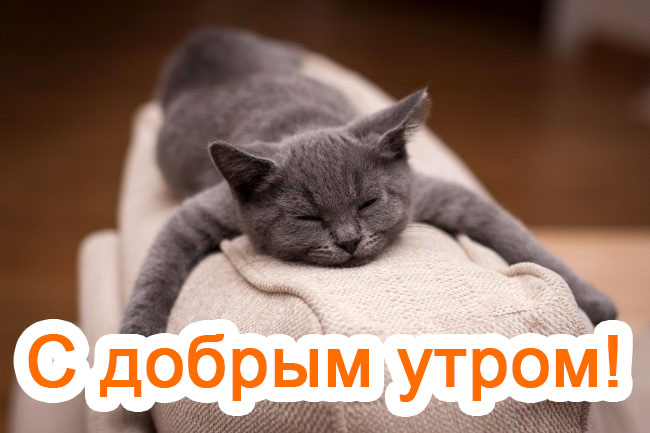 С добрым утром!