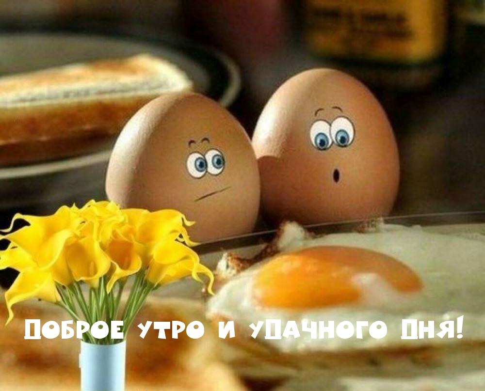 Доброе утро и удачного дня!