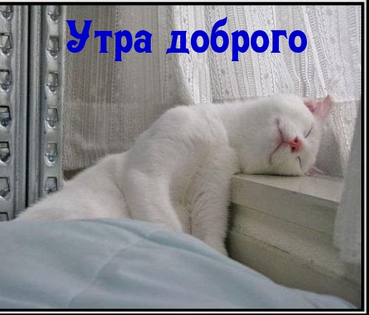 Утра доброго
