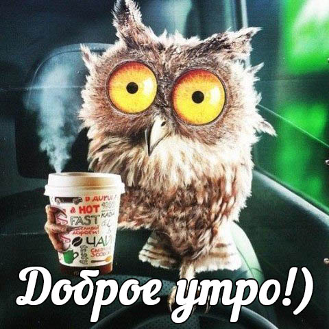 Доброе утро!