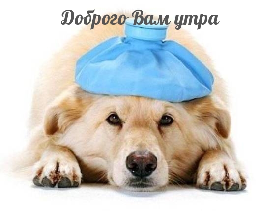 Доброго Вам утра