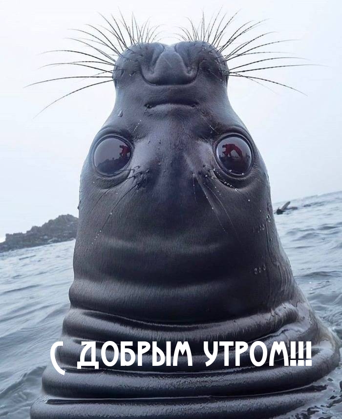 С добрым утром!