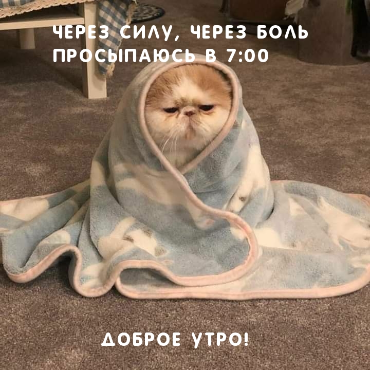 Через силу, через боль просыпаюсь в 7:00