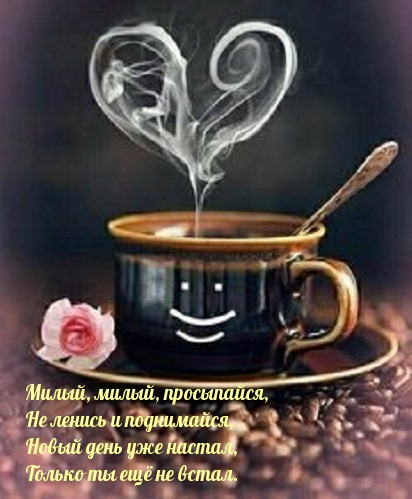 Милый, милый, просыпайся, не ленись!