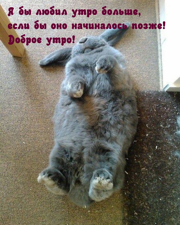 Я бы любил утро больше!