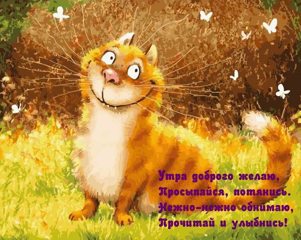 Утра доброго желаю, просыпайся, потянись!