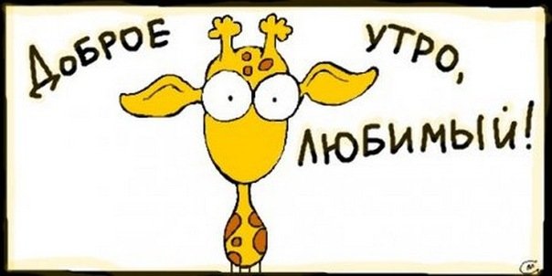 Доброе утро, любимый!