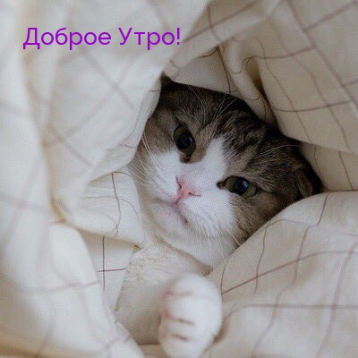 Доброе Утро!