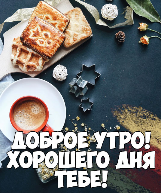 Доброе утро!  Хорошего дня тебе!