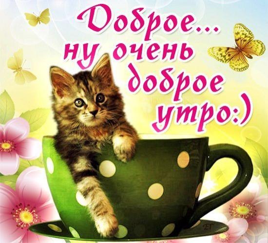 Доброе… ну очень доброе утро)