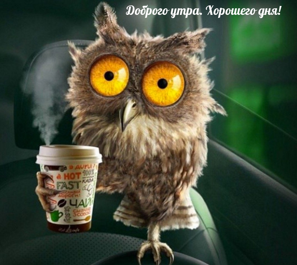 Доброго утра. Хорошего дня!