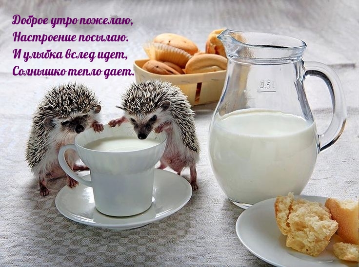 Доброе утро пожелаю, настроение посылаю