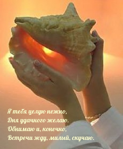 Я тебя целую нежно, дня удачного желаю!