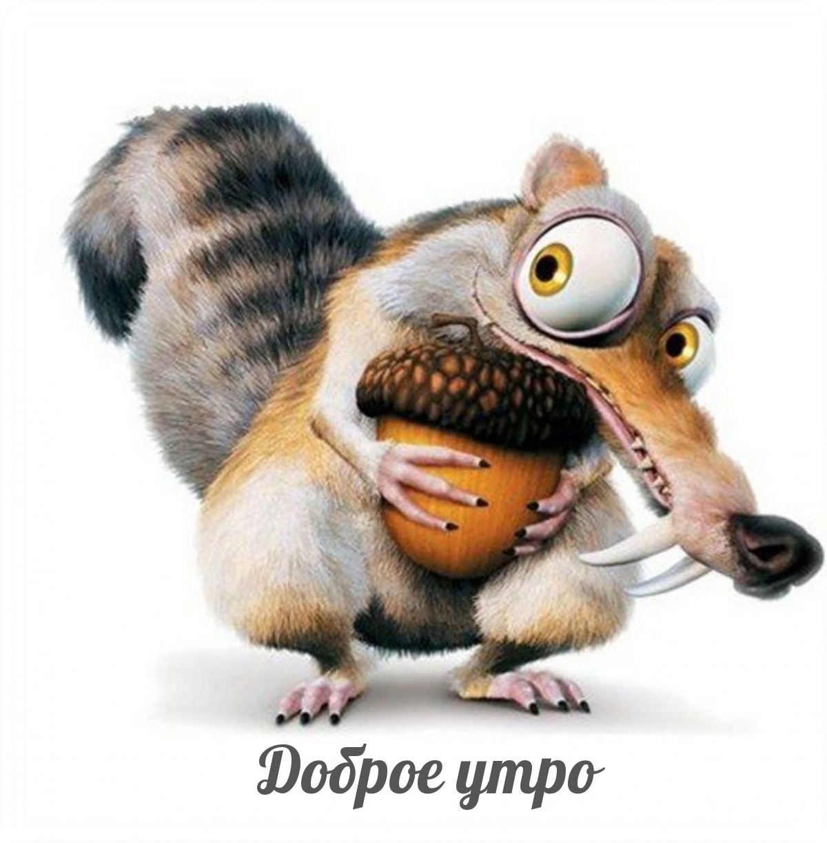 Доброе утро
