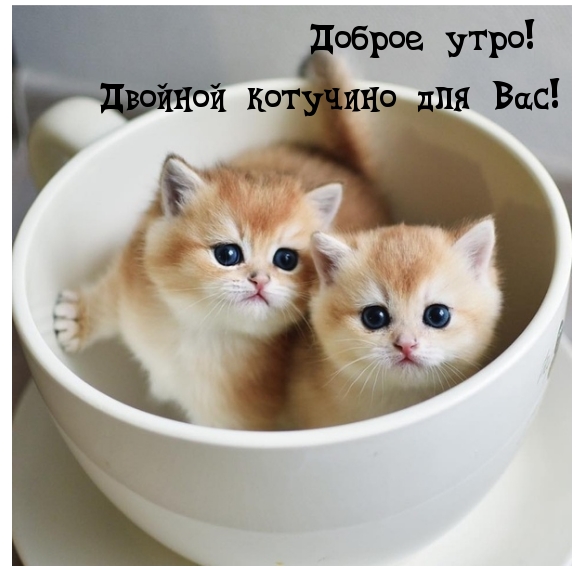 Доброе утро! Двойной котучино для Вас!