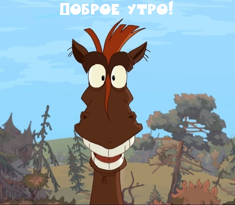 Доброе утро!